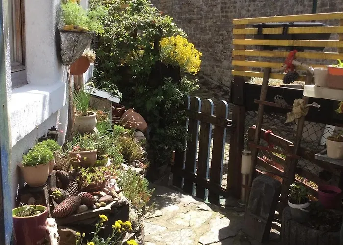 Cosy House Appartement *